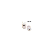 Wesfil IN TANK FUEL FILTER HYUNDAI - WCF136