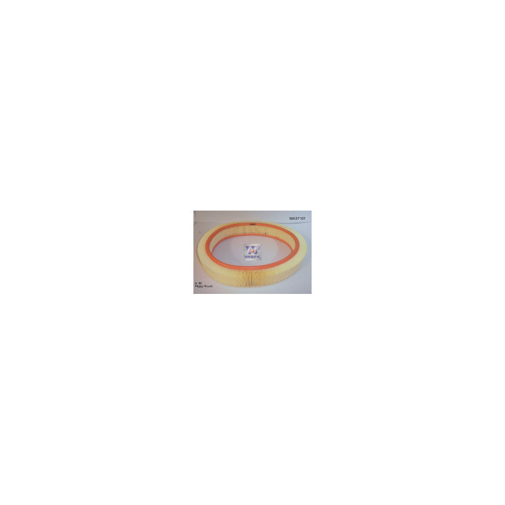 Wesfil AIR FILTER A1637 MERCEDES - WA37107