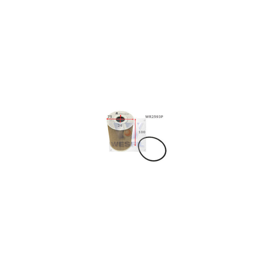 Wesfil WR2593P - OIL FILTER R2593P NISSAN - WR2593P