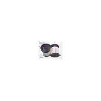 Wesfil DIESEL FUEL FILTER R2745P HOLDEN - WCF195