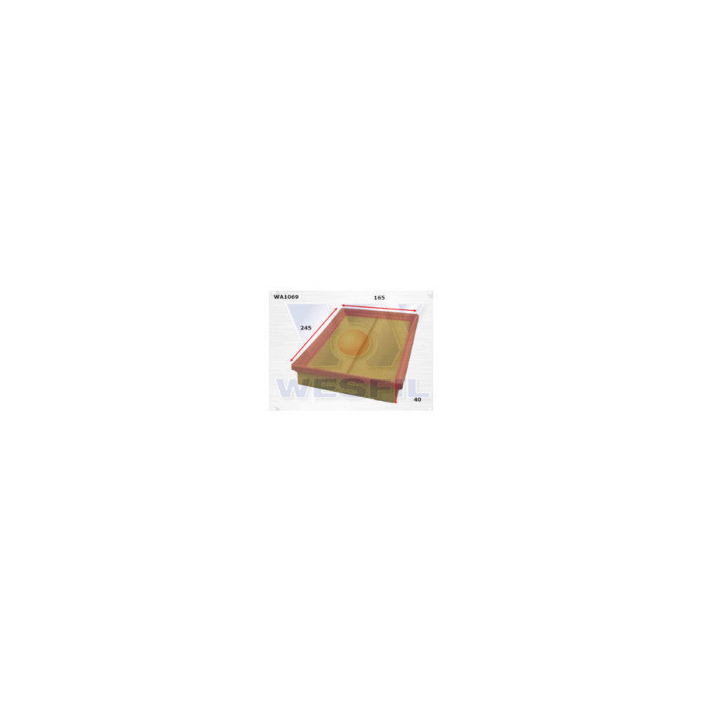 Wesfil AIR FILTER A1430 HYUNDAI - WA1069