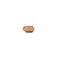Wesfil AIR FILTER BMW - WA5575
