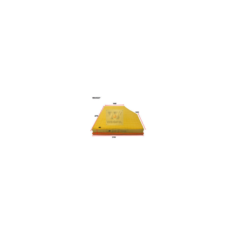Wesfil AIR FILTER A1742 BMW - WA5227