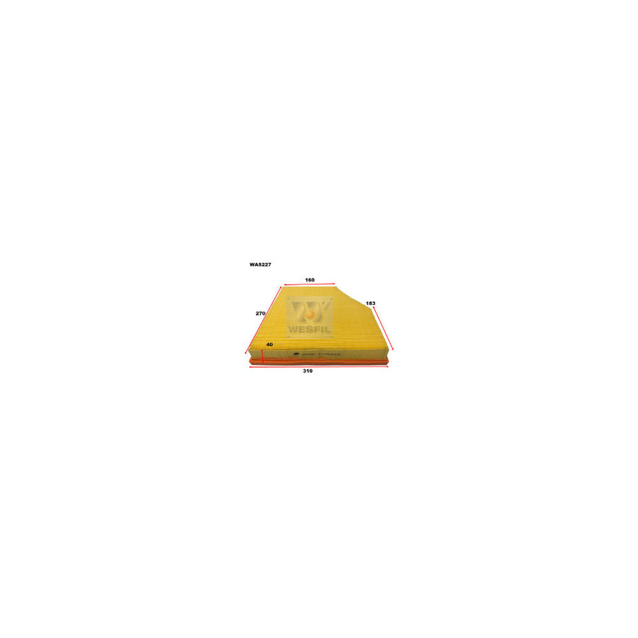 Wesfil AIR FILTER A1742 BMW - WA5227
