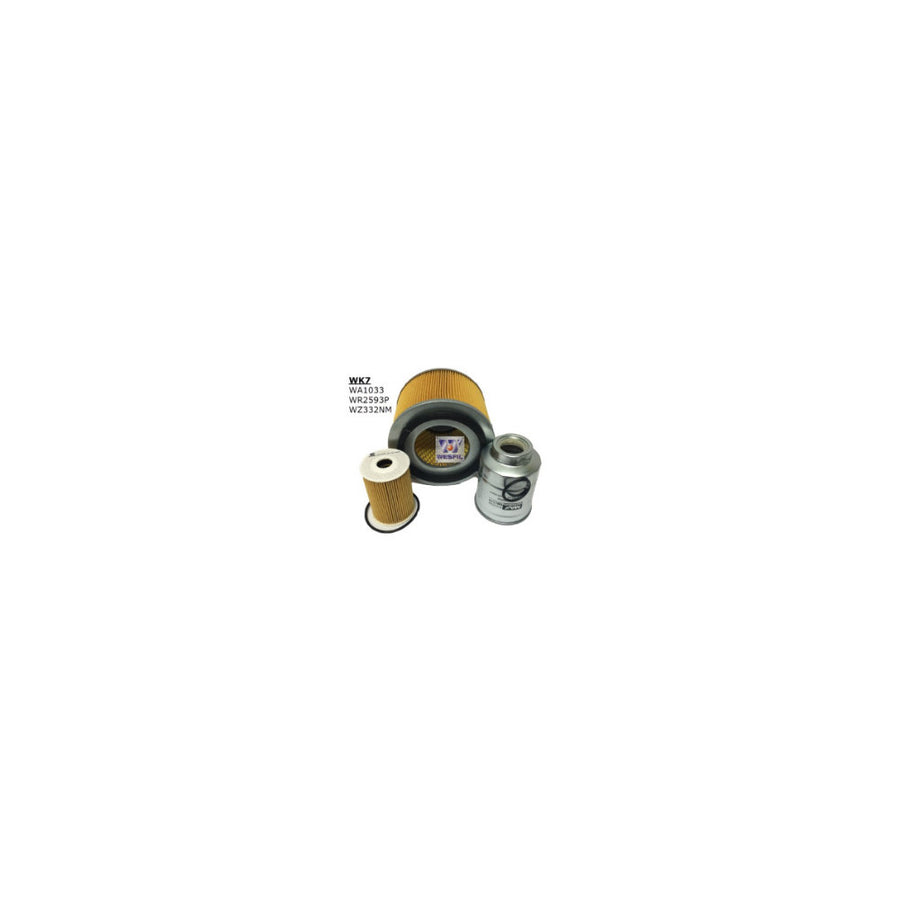 Wesfil FILTER SERVICE KIT RSK24 NISSAN PATROL FILTER SERVICE KIT NISSAN - WK7