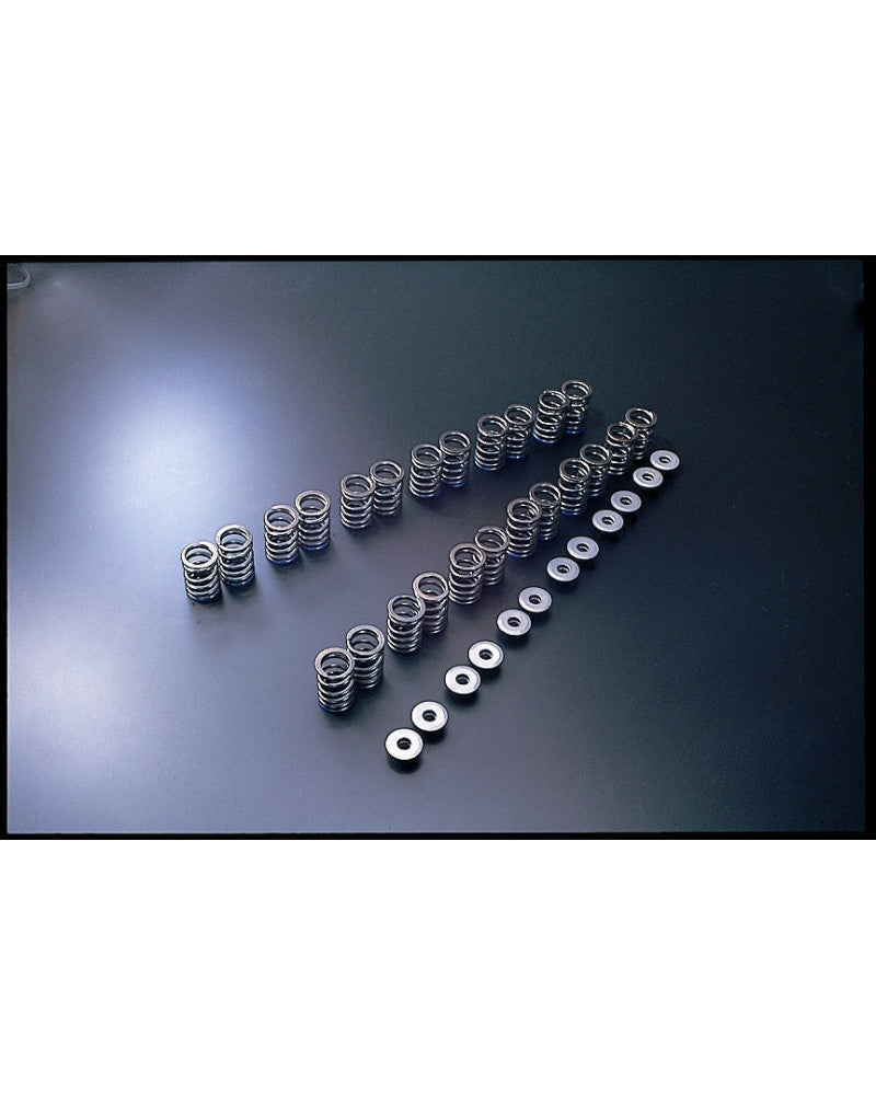 TOMEI VALVE SPRING R33 RB25DE(T) B-TYPE