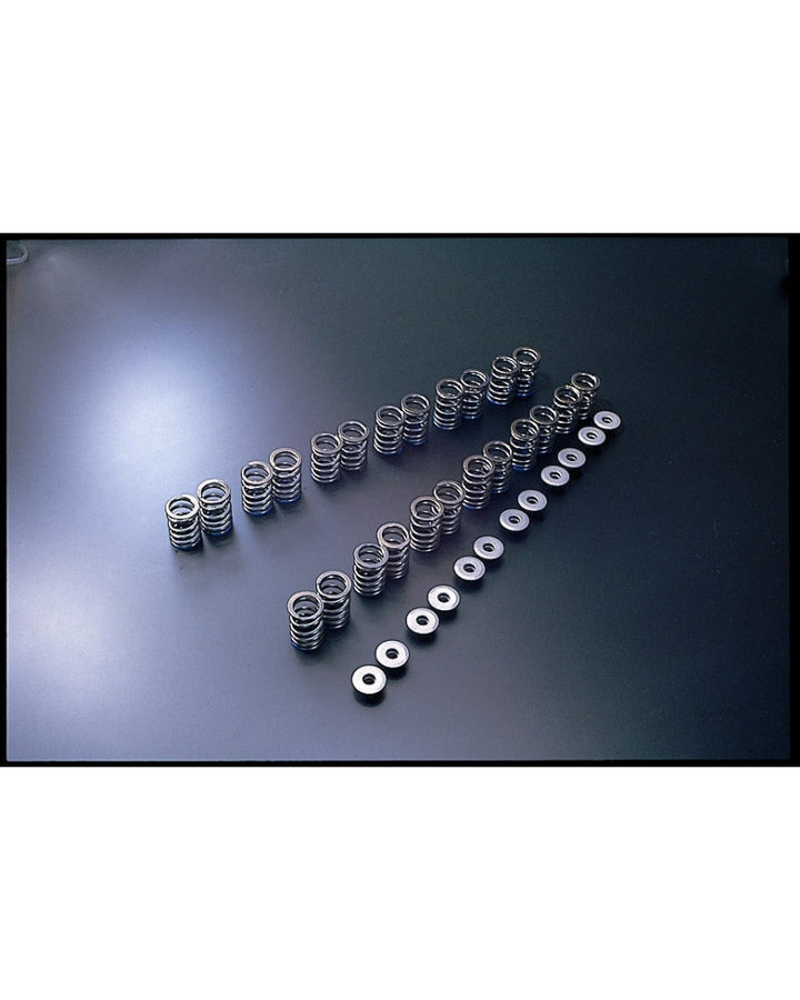 TOMEI VALVE SPRING R33 RB25DE(T) B-TYPE