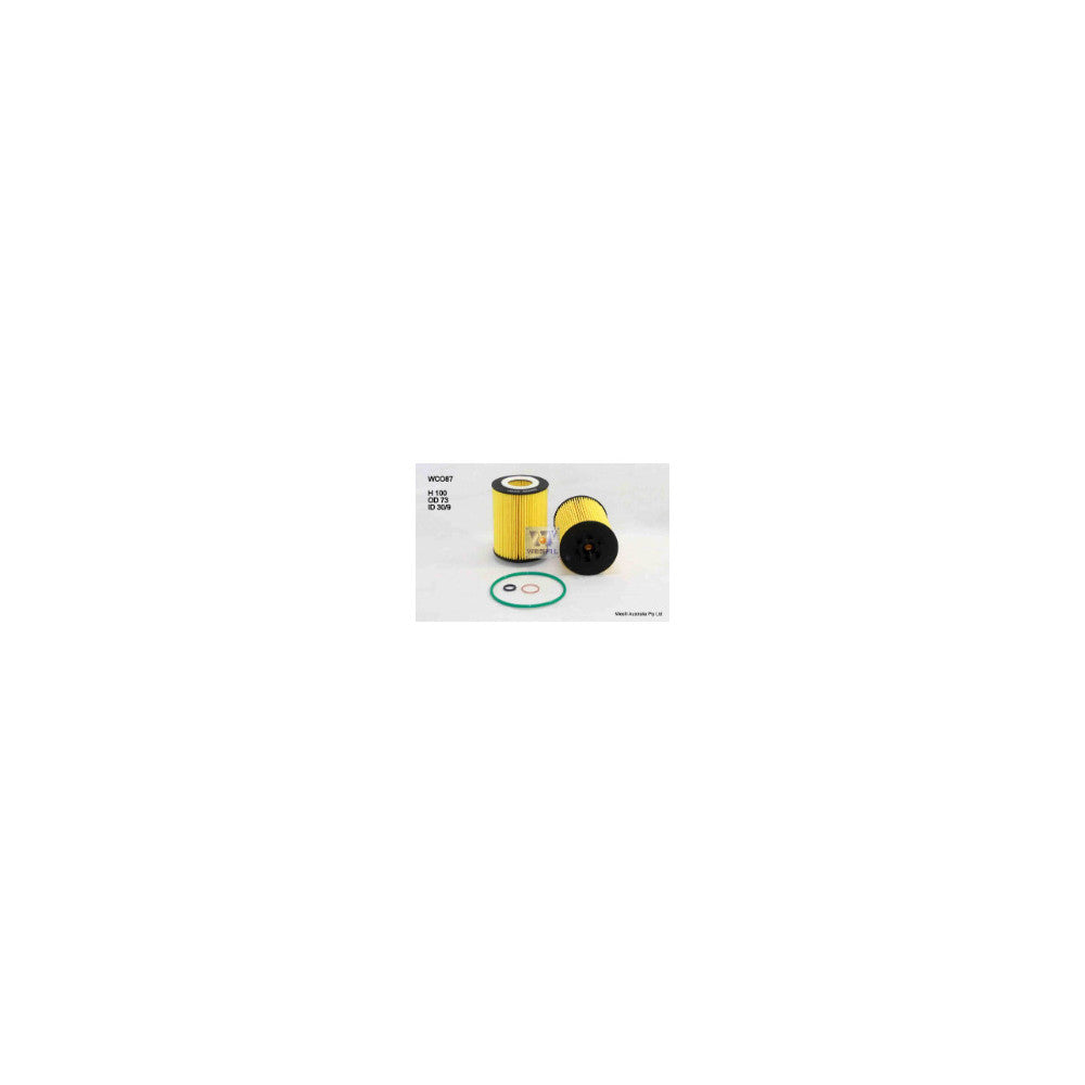 Wesfil OIL FILTER R2611P BMW - WCO87