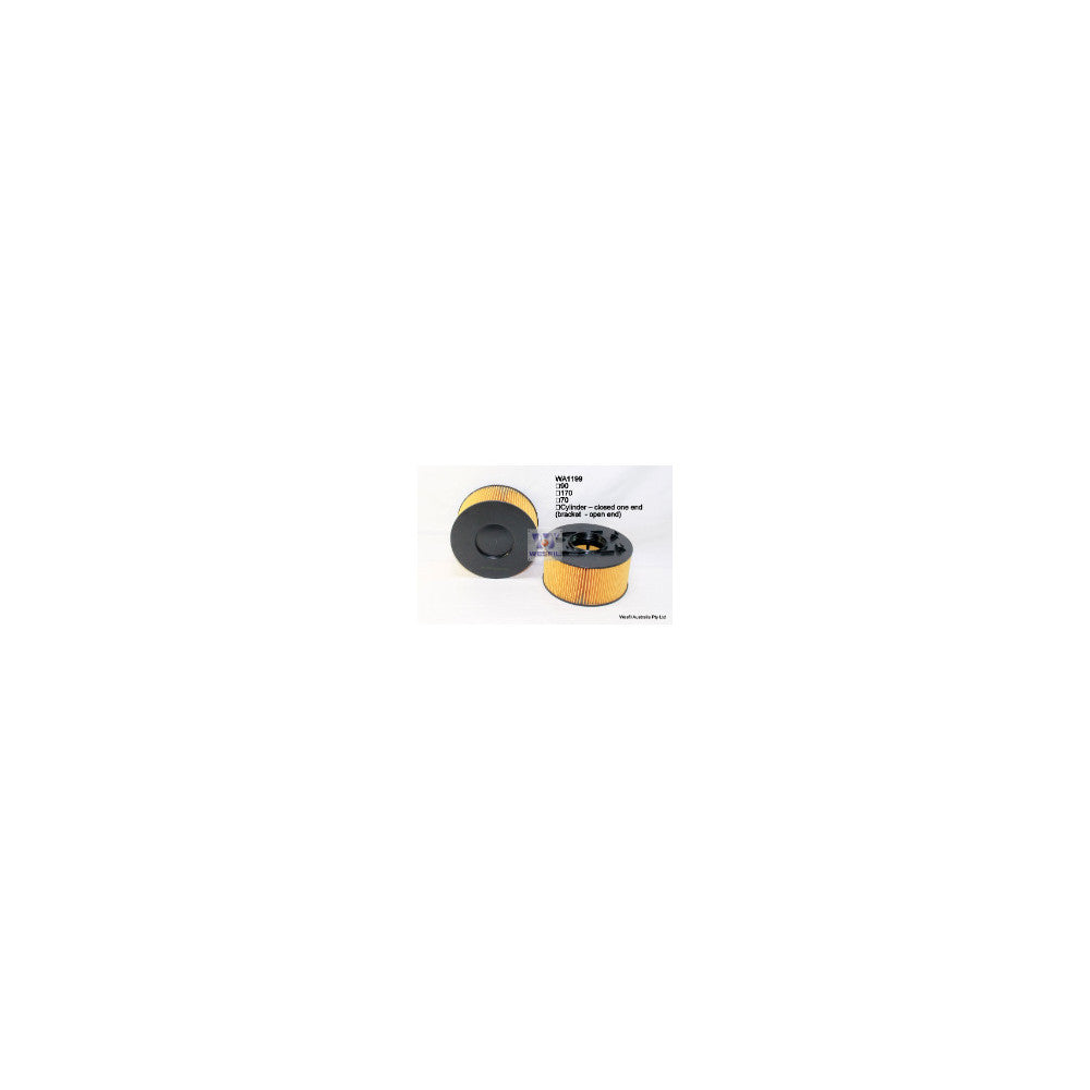 Wesfil AIR FILTER A1648 BMW - WA1199
