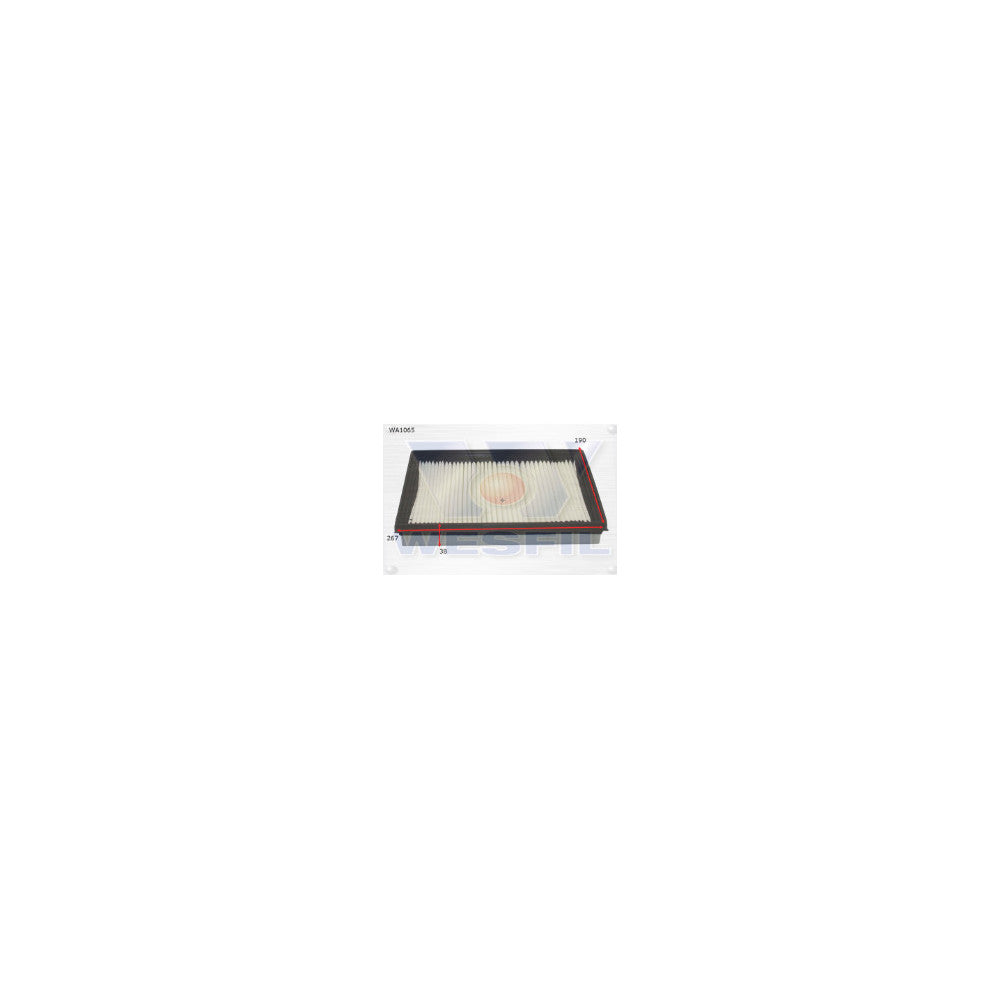 Wesfil AIR FILTER A1425 KIA - WA1065