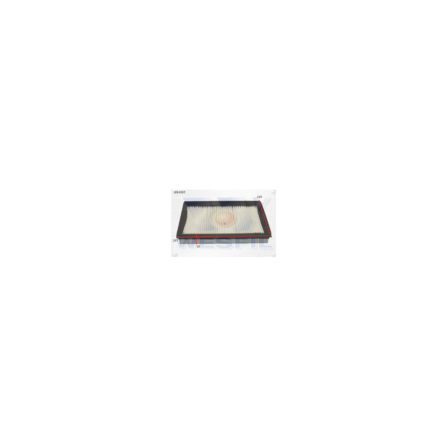 Wesfil AIR FILTER A1425 KIA - WA1065