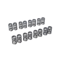RSE VALVE SPRING SR20DE(T)