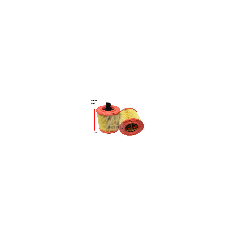 Wesfil AIR FILTER HOLDEN - WA5446