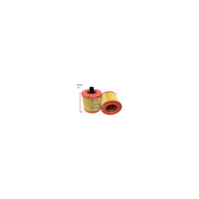 Wesfil AIR FILTER HOLDEN - WA5446