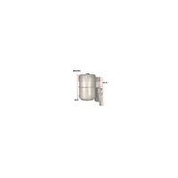 Wesfil IN TANK FUEL FILTER Z1130 HYUNDAI - WCF381