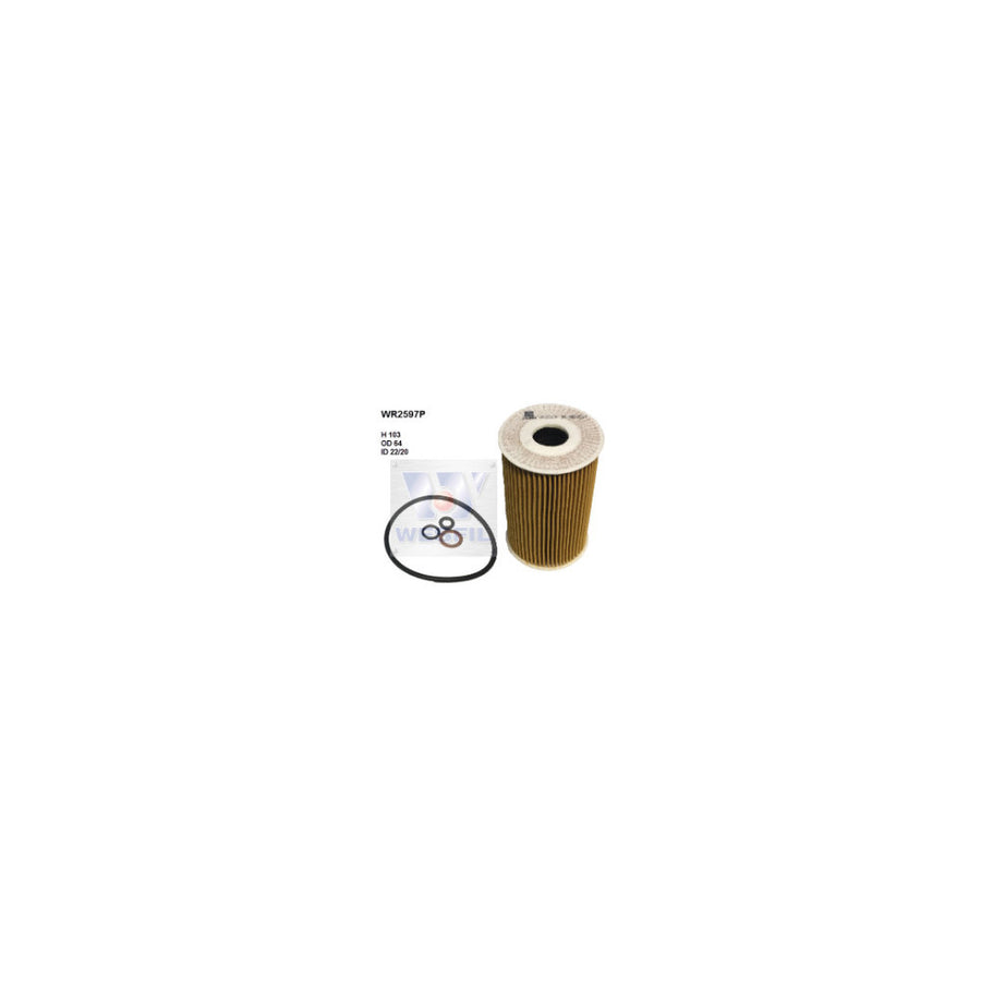 Wesfil OIL FILTER R2597P BMW - WR2597P