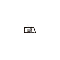 Wesfil TRANSMISSION FILTER KIT RTK102/FK-1665 LEXUS - WCTK114
