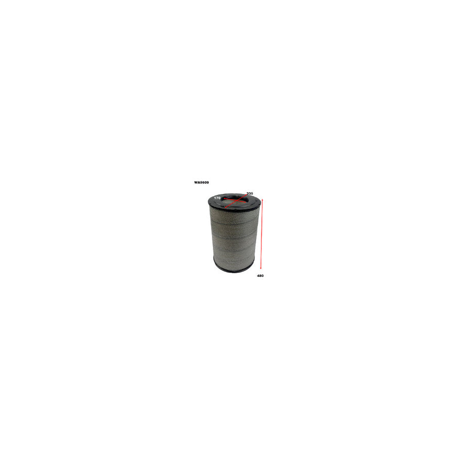 Wesfil AIR FILTER NISSAN - WA5609