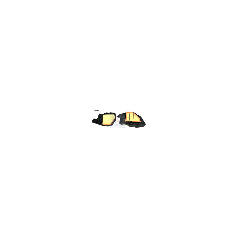 Wesfil AIR FILTER BMW - WA5453