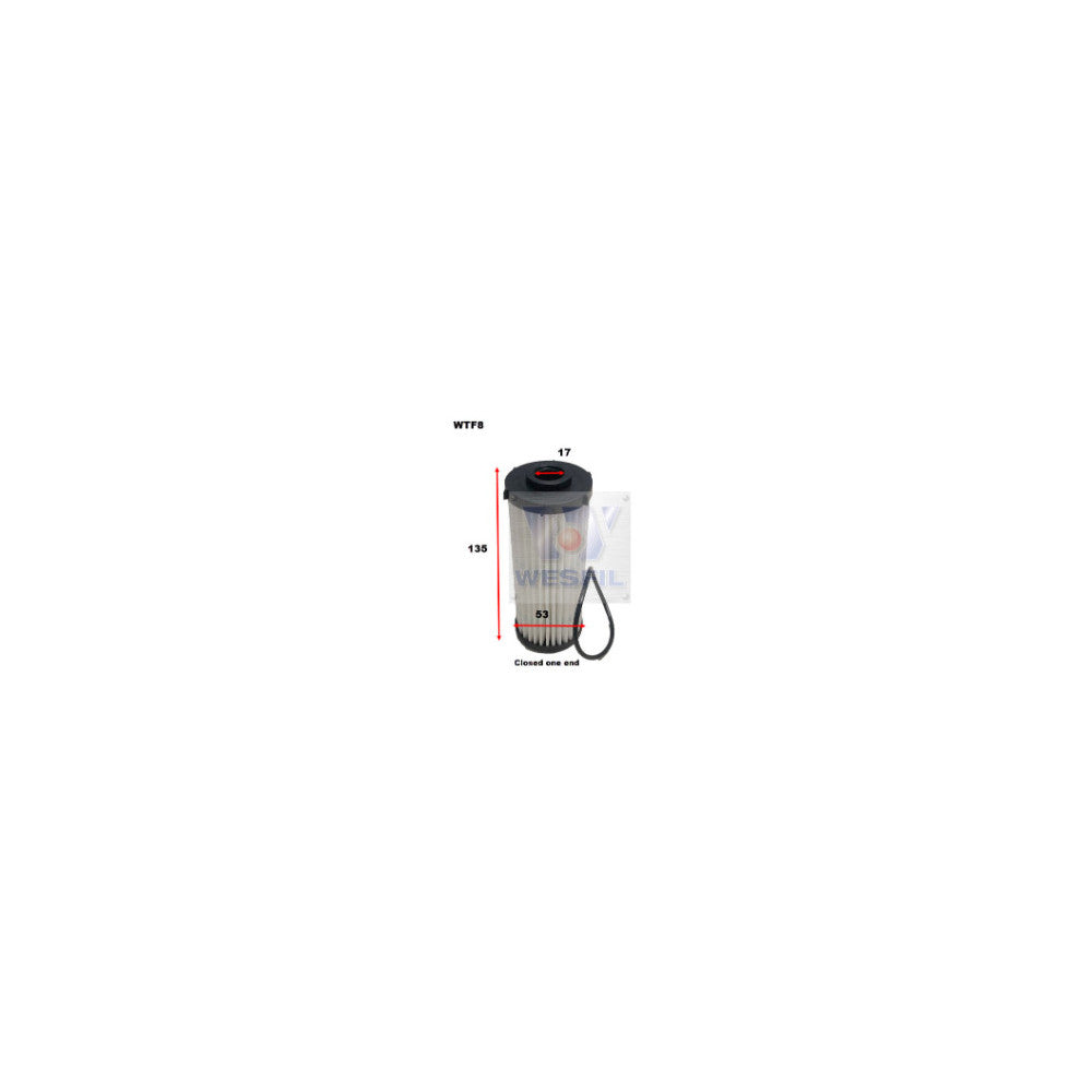 Wesfil TRANSMISSION OIL FILTER AUDI/VW - WTF8