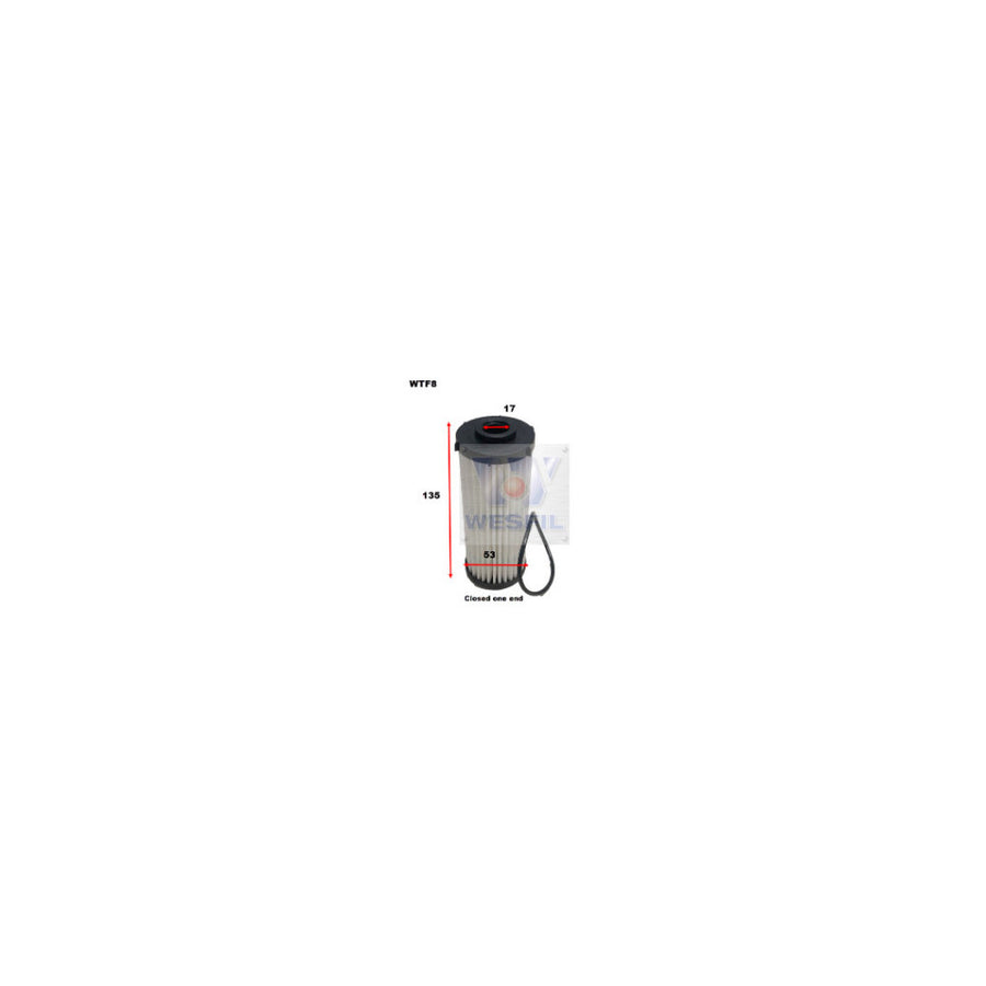 Wesfil TRANSMISSION OIL FILTER AUDI/VW - WTF8