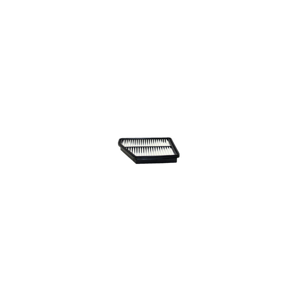 Wesfil AIR FILTER A1520 HYUNDAI - WA1166