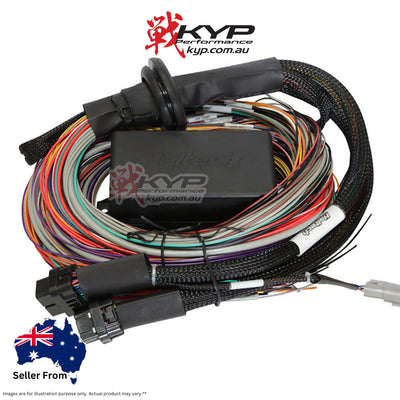 HALTECH Elite 2500 & 2500 T Premium Universal Wire-in Harness - HT-141304