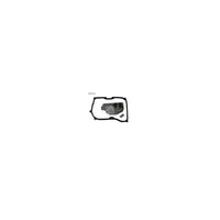 Wesfil TRANSMISSION FILTER KIT RTK280 AUDI/SKODA/VW - WCTK127