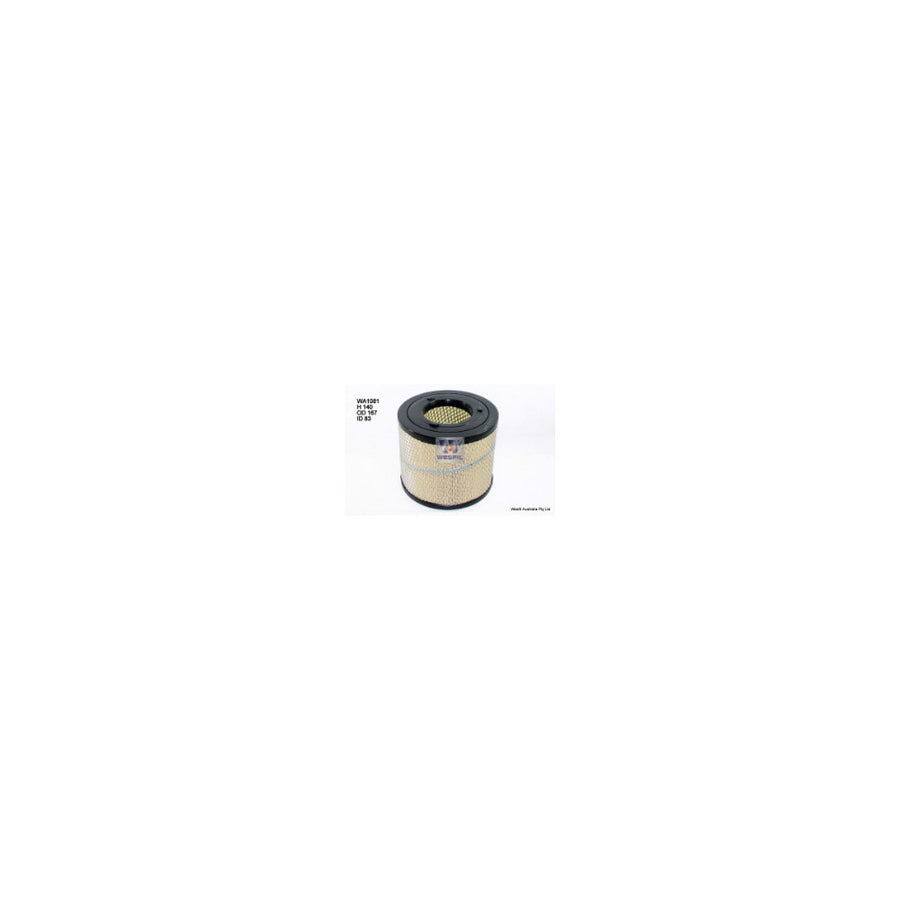 Wesfil WA1081 - AIR FILTER A1504 HOLDEN - WA1081
