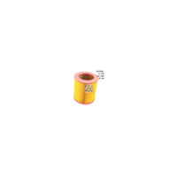 Wesfil AIR FILTER IVECO/FIAT - WA5081