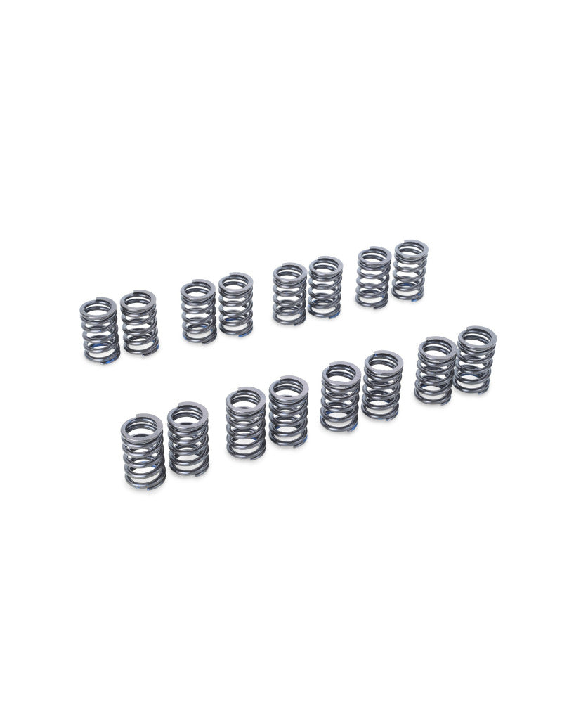 RSE VALVE SPRING EJ205/EJ207/EJ255/EJ257