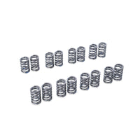 RSE VALVE SPRING EJ205/EJ207/EJ255/EJ257