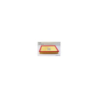 Wesfil AIR FILTER A484 VOLVO - WCA9099