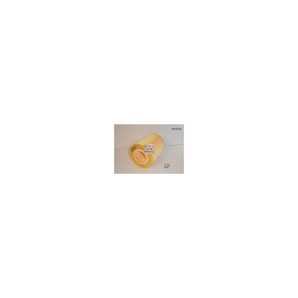 Wesfil AIR FILTER A1673 MERCEDES - WCA8154