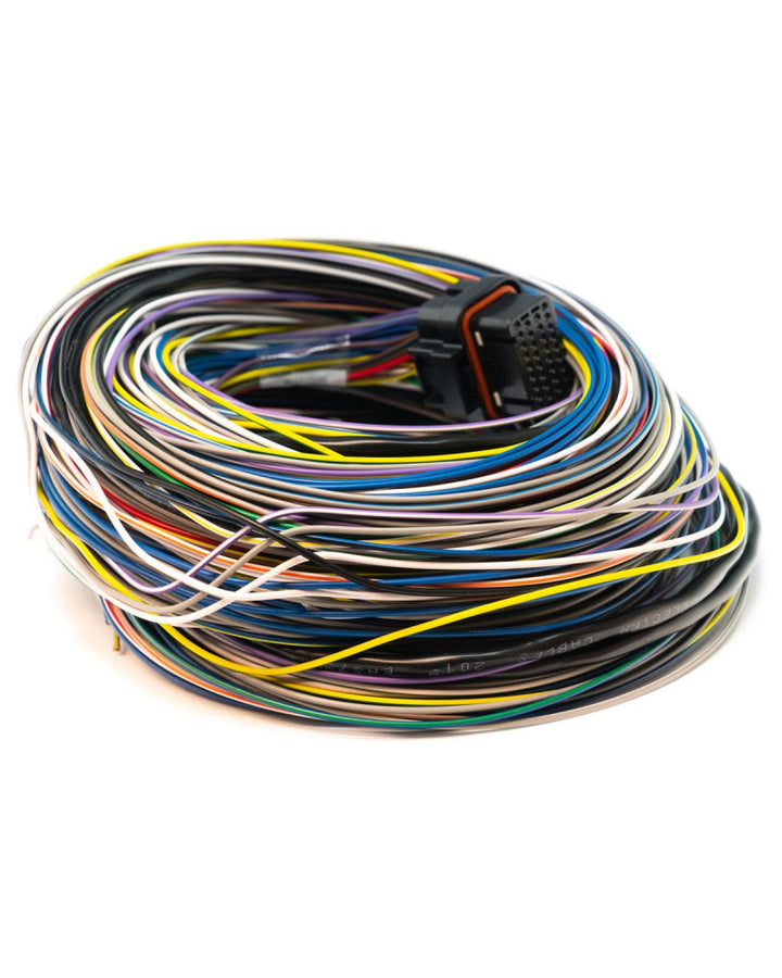 LINK G4 LOOM B 5M - ALL WIREIN ECUS (NOT REQUIRED FOR ATOM OR MONSOON)