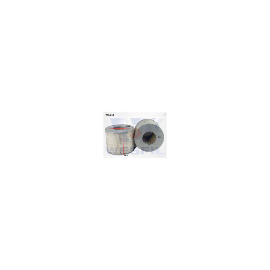 Wesfil AIR FILTER A215 DAIHATSU/TOYOTA - WA215