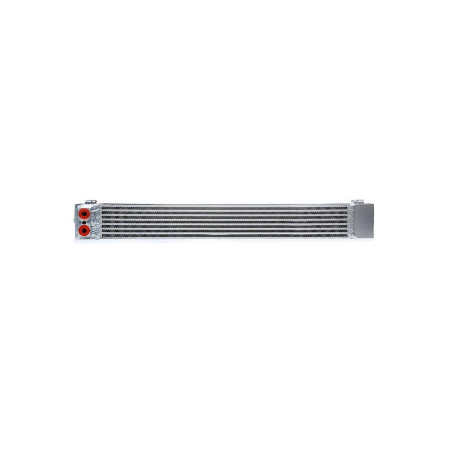 CSF Racing Race-Spec Dual Pass Oil Cooler for BMW EM3 E46