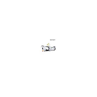 Wesfil IN TANK FUEL FILTER Z957 HONDA - WCF267