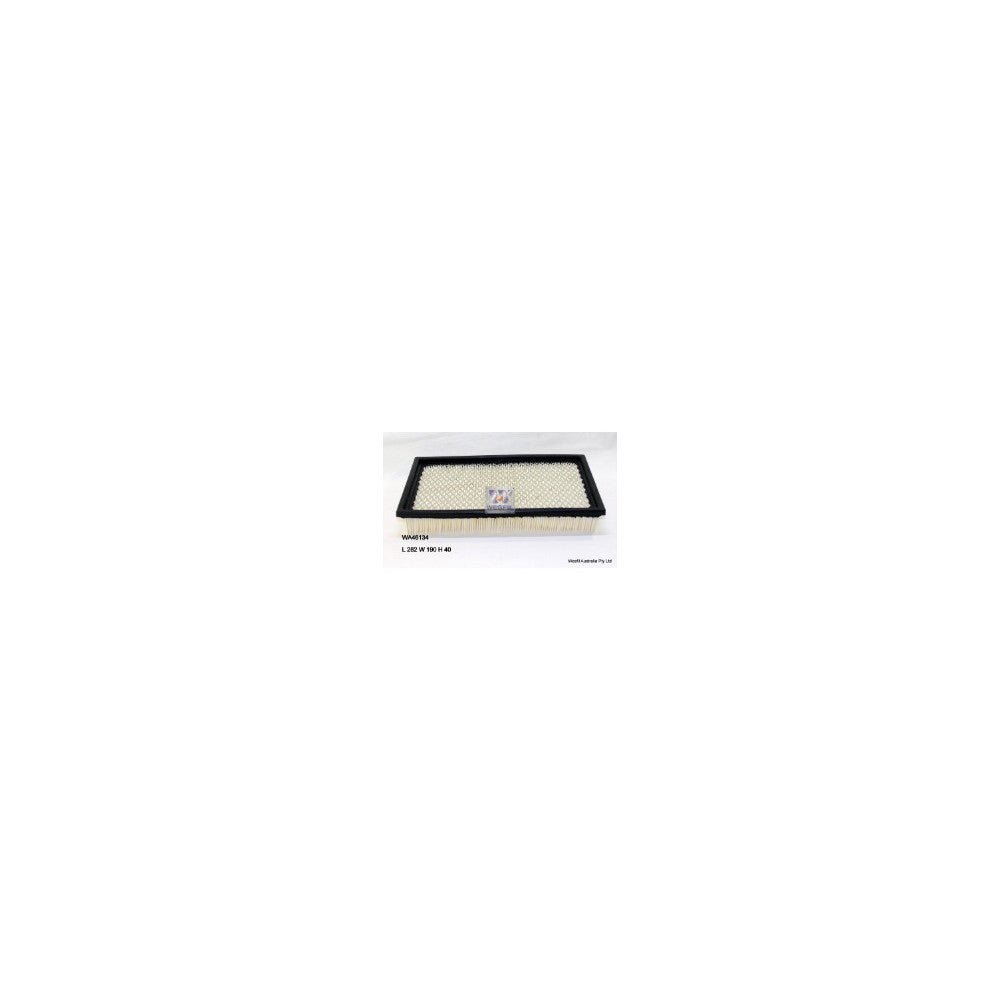 Wesfil AIR FILTER A1379 FORD - WA46134