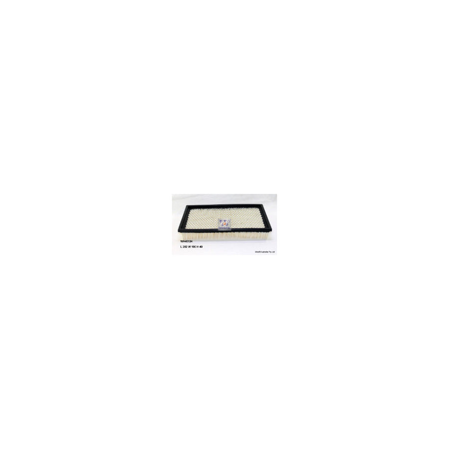 Wesfil AIR FILTER A1379 FORD - WA46134
