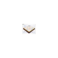 Wesfil AIR FILTER LEXUS - WA5323