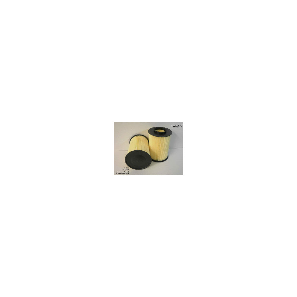 Wesfil AIR FILTER A1630 FORD - WA5175