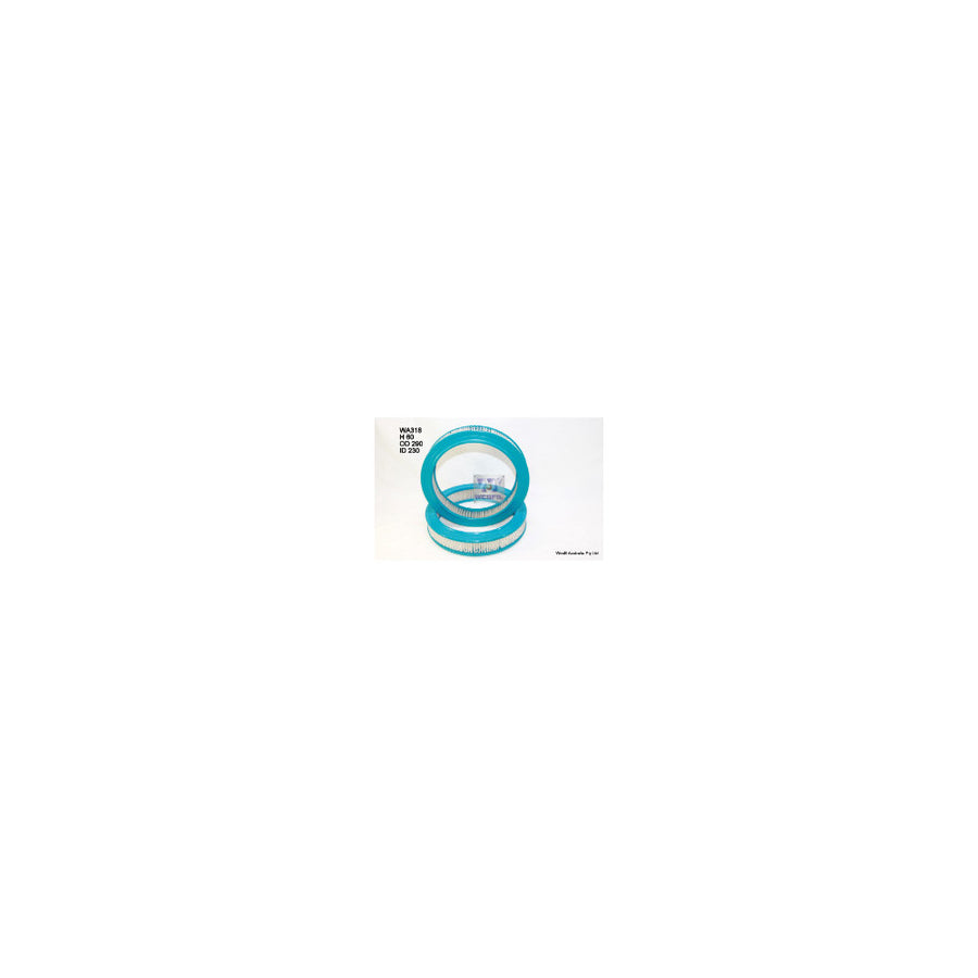 Wesfil AIR FILTER A318 NISSAN - WA318