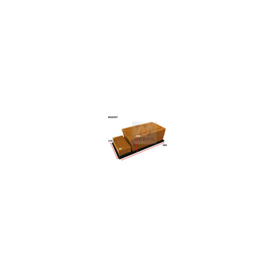 Wesfil AIR FILTER FORD - WA5397