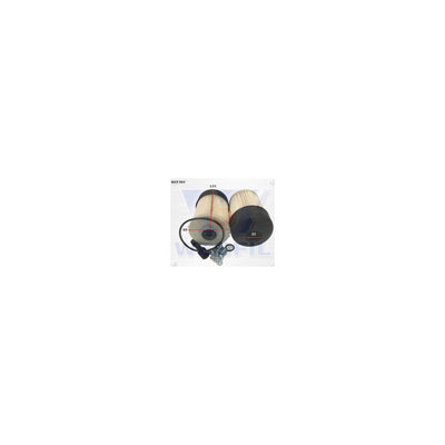 Wesfil WCF304 - DIESEL FUEL FILTER NISSAN/RENAULT - WCF304