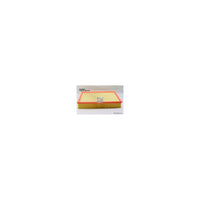 Wesfil AIR FILTER A1528 AUDI/VW - WCA9267