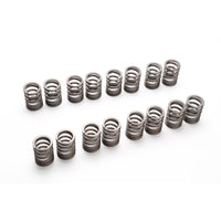 RSE VALVE SPRING KA24DE 240SX USDM
