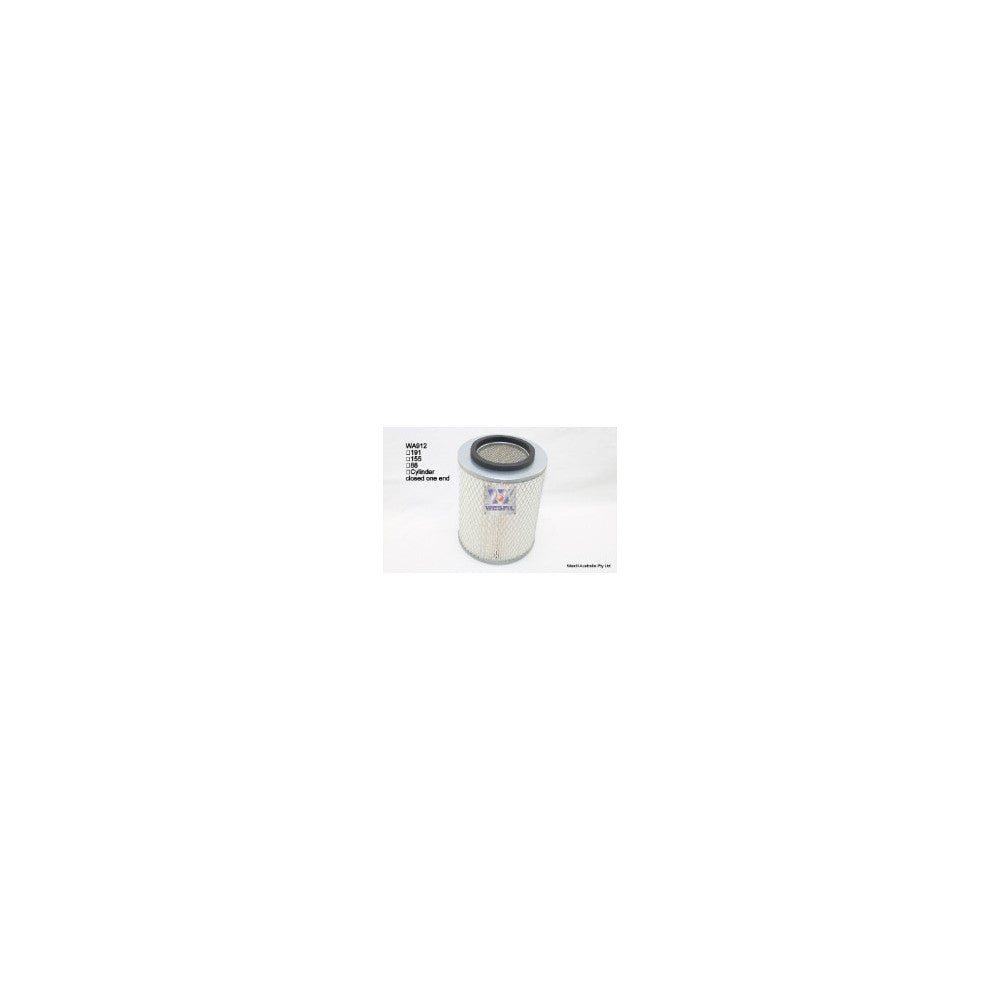 Wesfil AIR FILTER A1388 HOLDEN - WA912