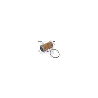 Wesfil WCO4 - OIL FILTER R2605P HOLDEN - WCO4