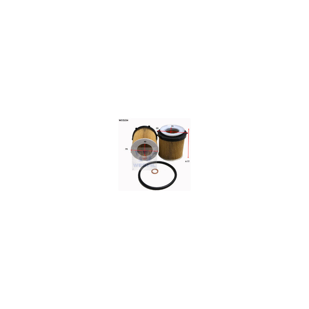 Wesfil OIL FILTER R2870P BMW - WCO234